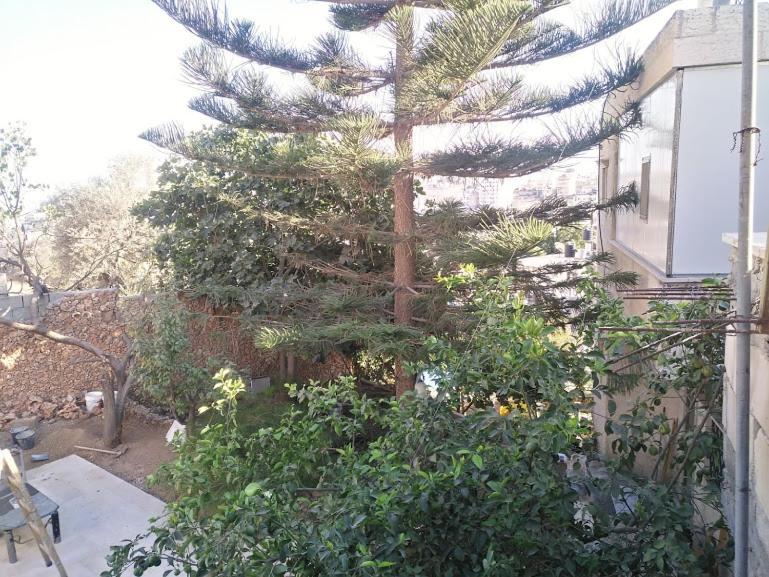 Aman Hostel Beytüllahim Dış mekan fotoğraf